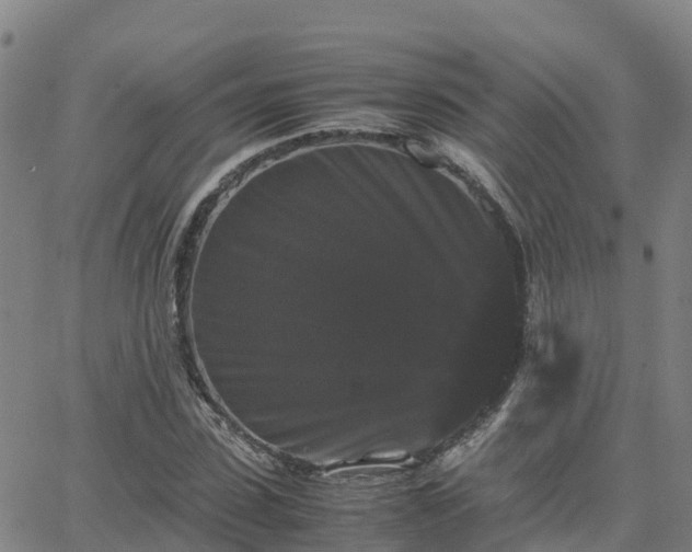 X0000062830923200601201609