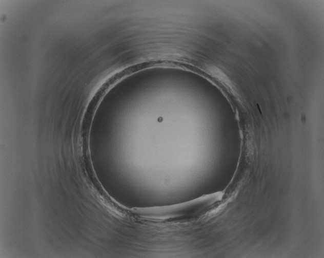 X0000062830924200601201609