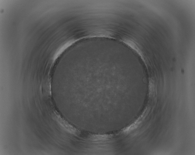 X0000062830925200601201609