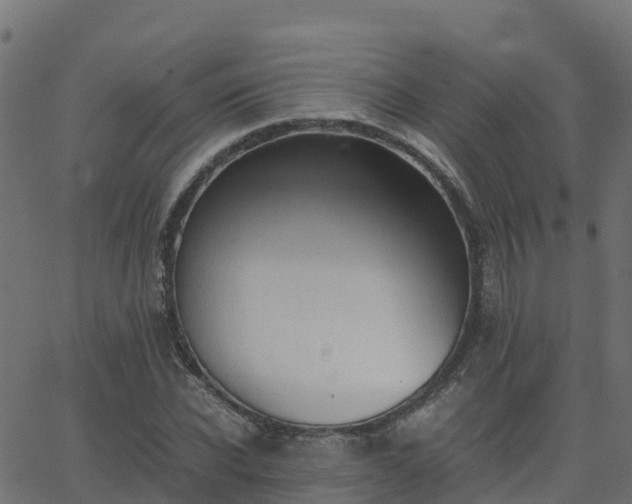 X0000062830926200601201609