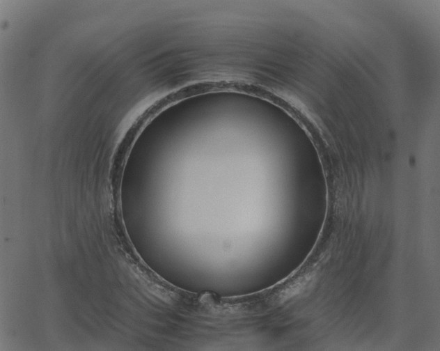 X0000062830927200601201609