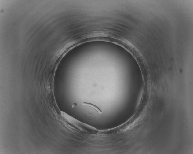 X0000062830929200601201609