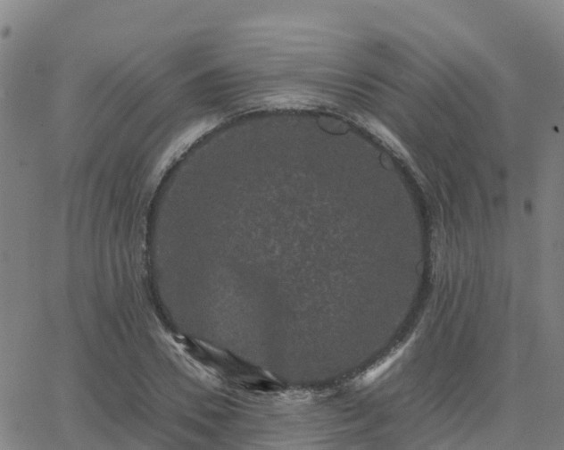 X0000062830930200601201609