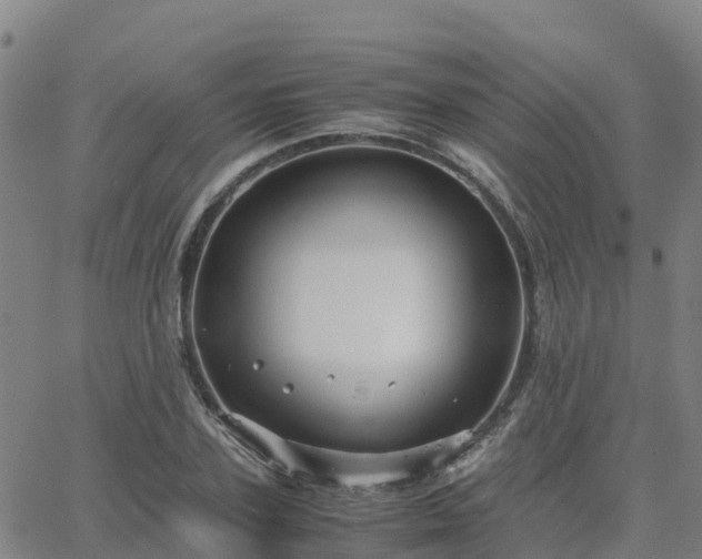 X0000062830931200601201609