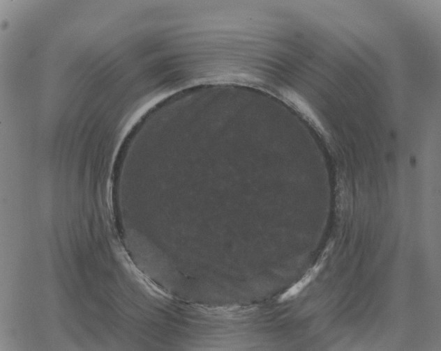 X0000062830932200601201609