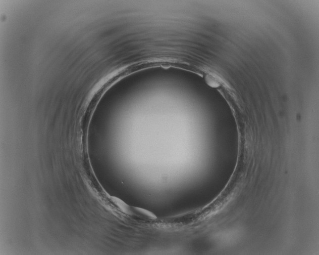 X0000062830933200601201609