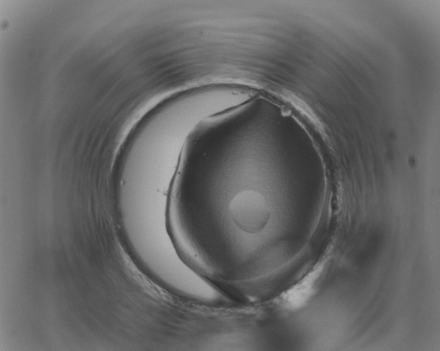 X0000062830934200601201609