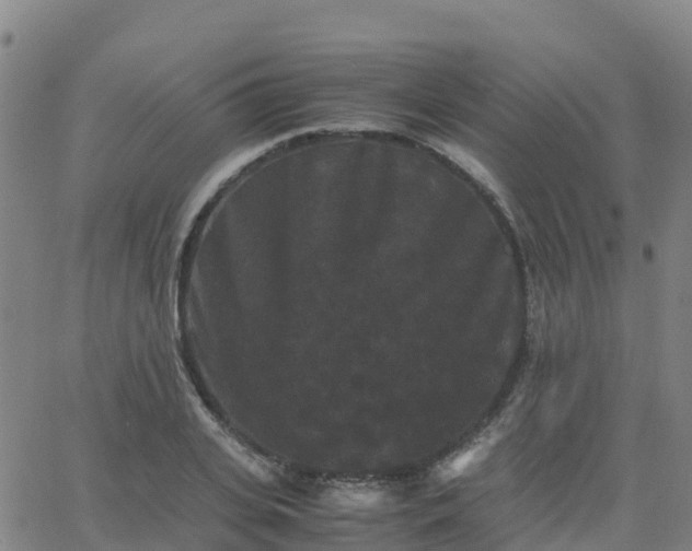 X0000062830935200601201609