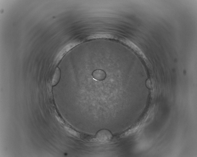 X0000062830937200601201609