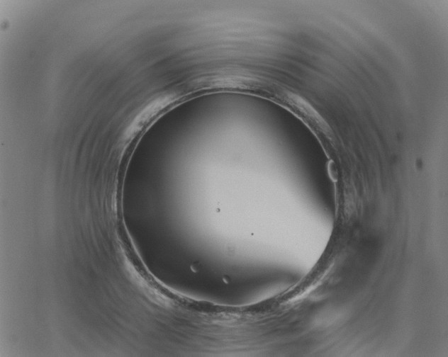 X0000062830938200601201609