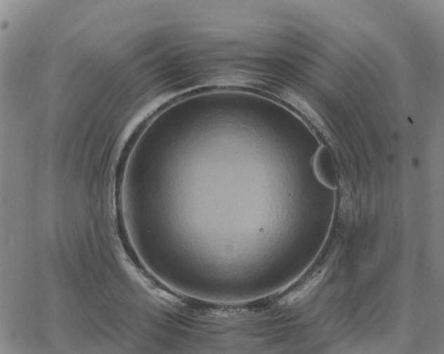 X0000062830939200601201609