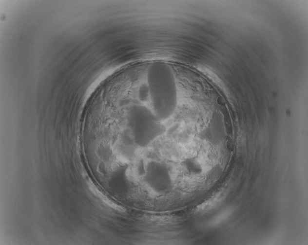 X0000062830941200601201609