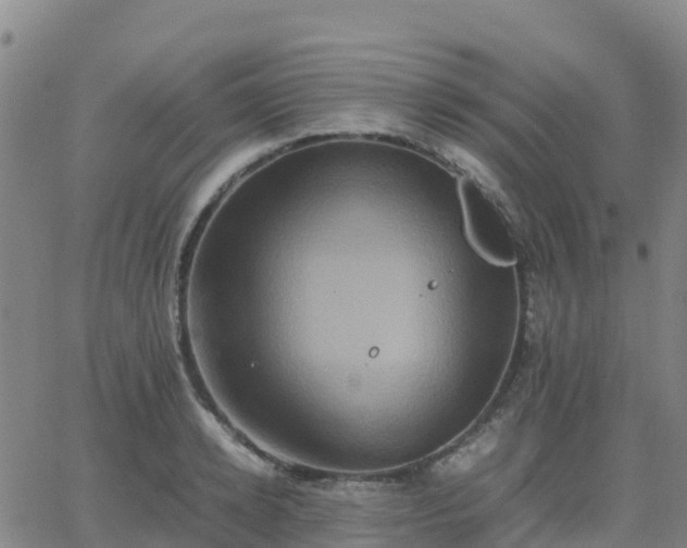 X0000062830942200601201609