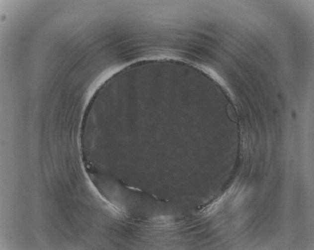 X0000062830943200601201609