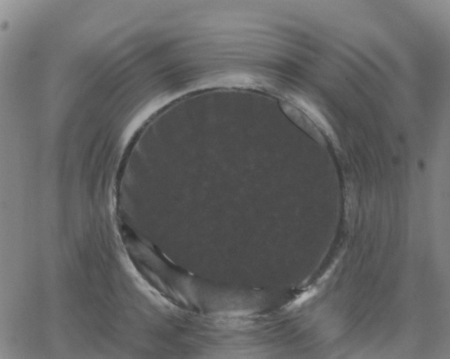 X0000062830944200601201609