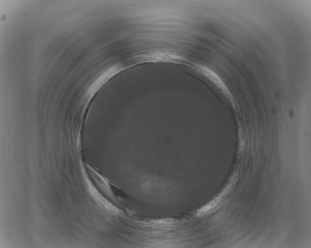 X0000062830946200601201609