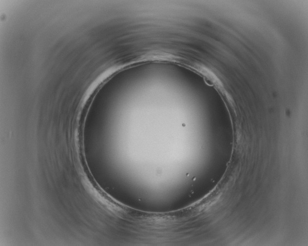 X0000062830947200601201609