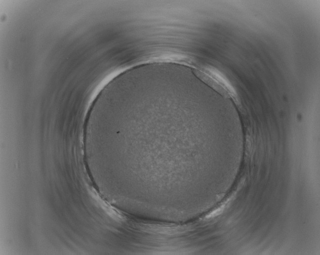 X0000062830948200601201609