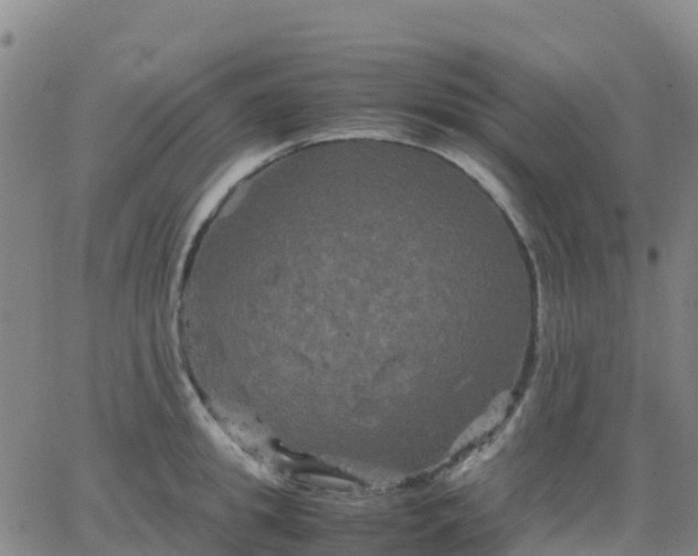 X0000062830949200601201609