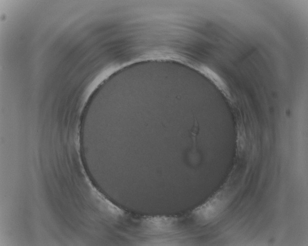 X0000062830950200601201609