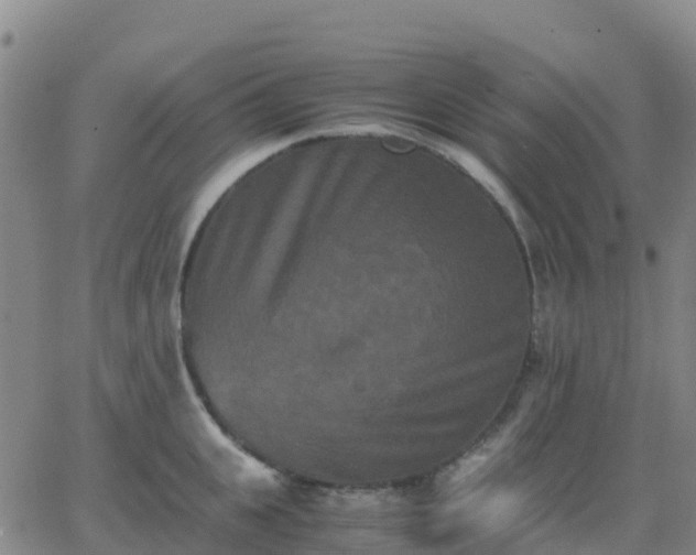 X0000062830951200601201609