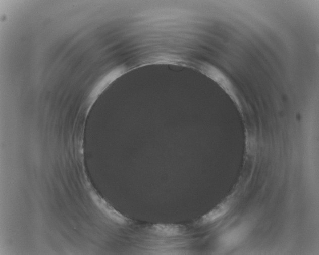 X0000062830954200601201609