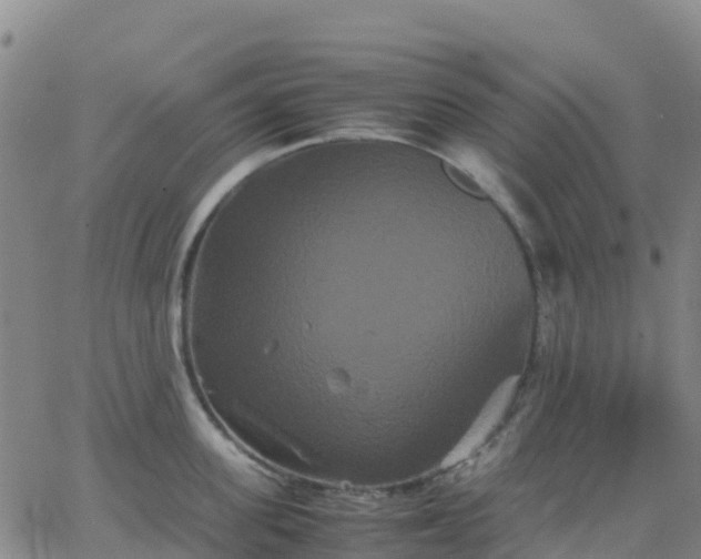 X0000062830955200601201609