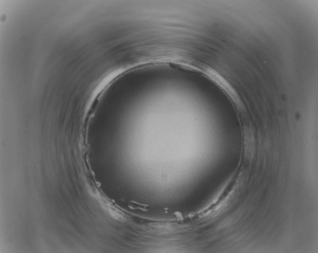 X0000062830956200601201609