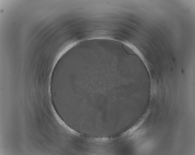 X0000062830957200601201609