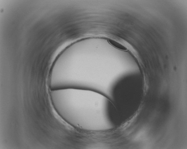 X0000062830958200601201609