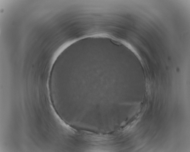 X0000062830959200601201609