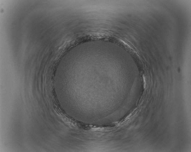 X0000062830961200601201609