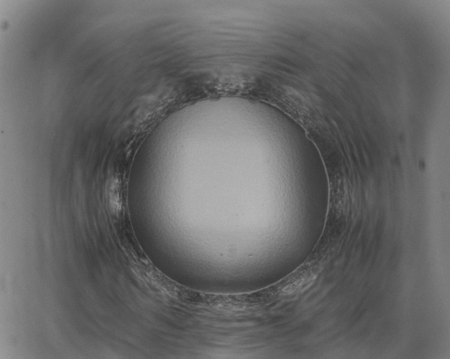 X0000062830962200601201609