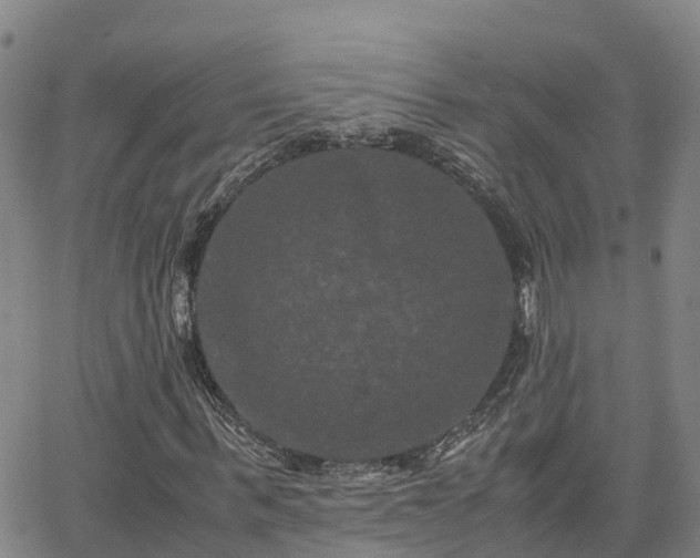 X0000062830963200601201609