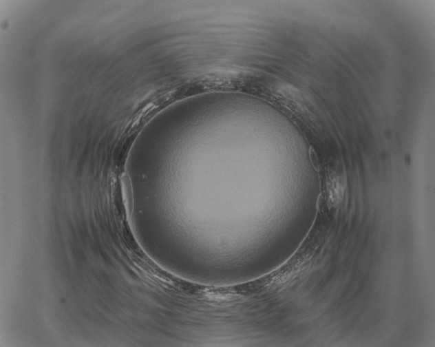 X0000062830964200601201609