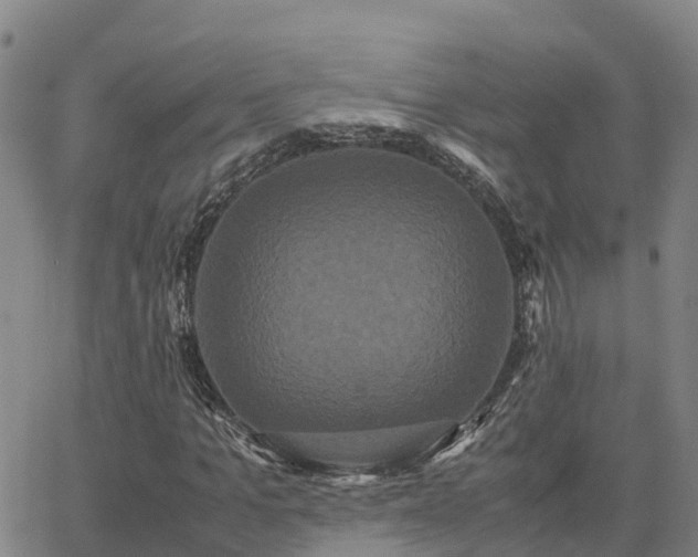 X0000062830965200601201608