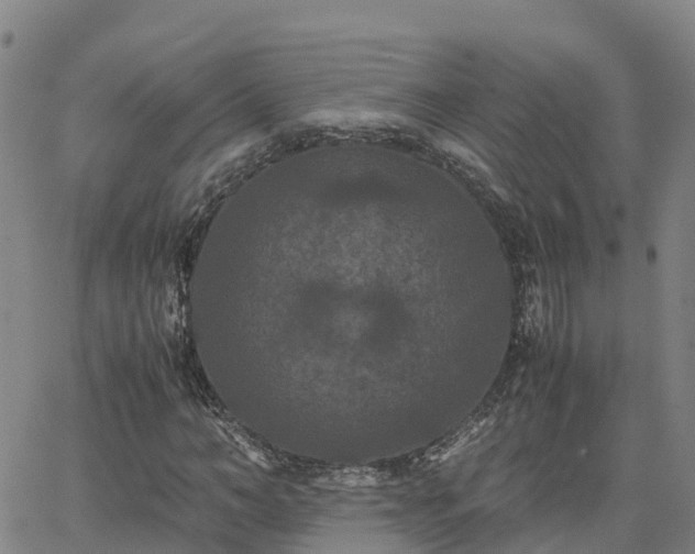 X0000062830966200601201608