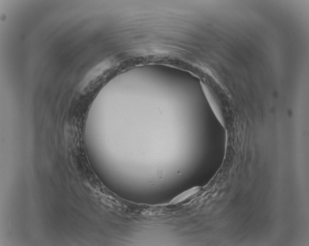 X0000062830967200601201608