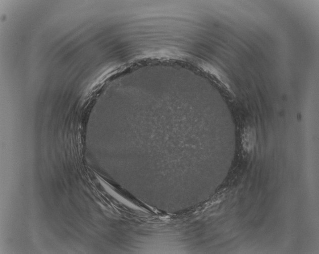 X0000062830968200601201608