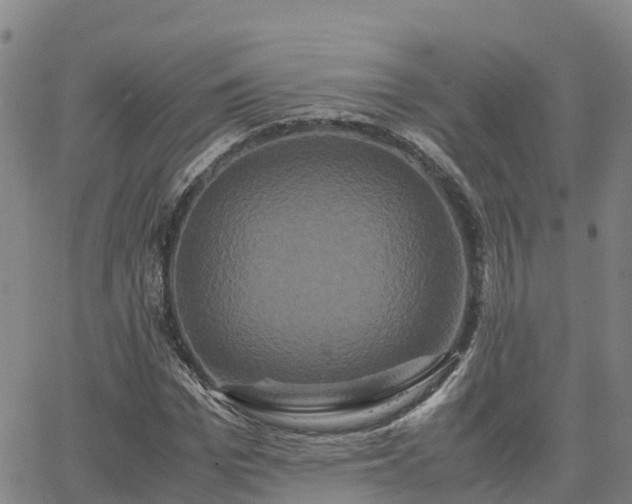 X0000062830969200601201608