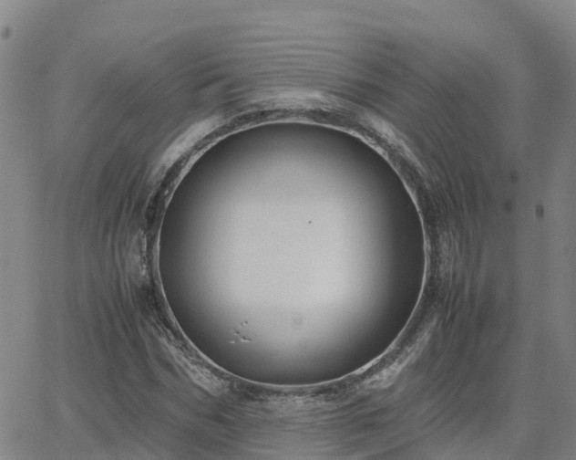 X0000062830970200601201608