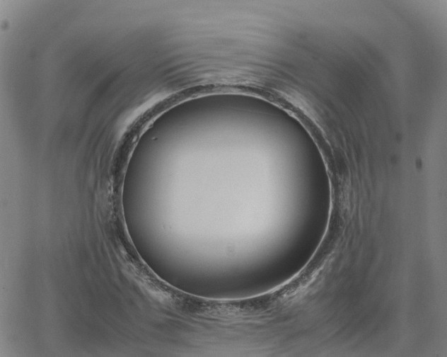 X0000062830971200601201608