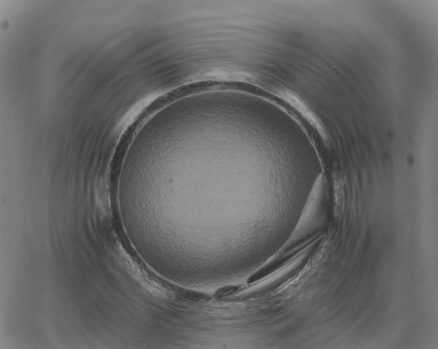 X0000062830972200601201608