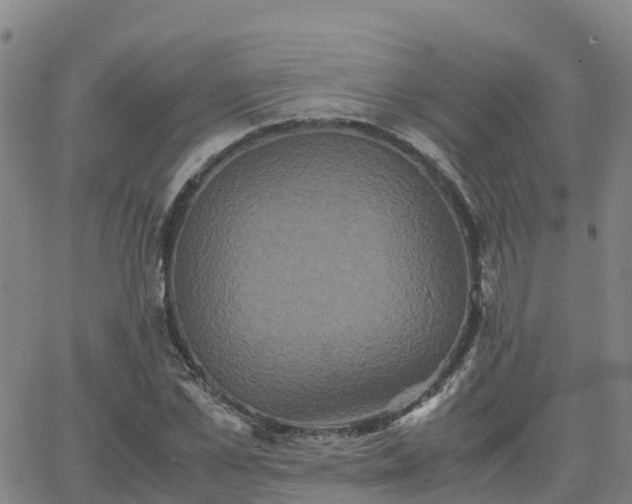 X0000062830973200601201608