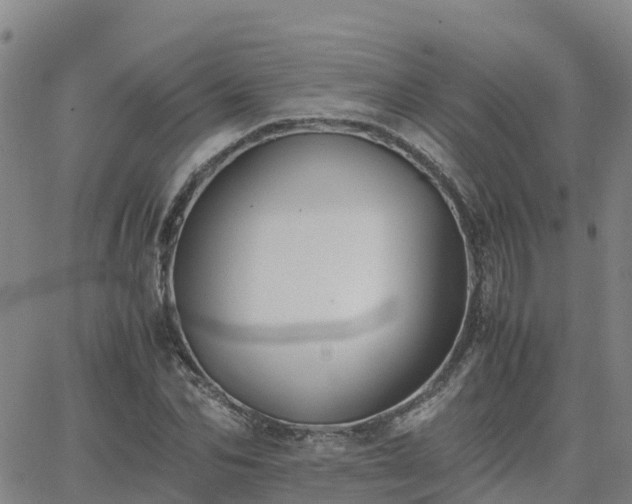 X0000062830974200601201608