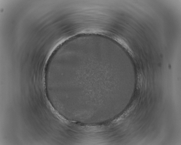 X0000062830976200601201608