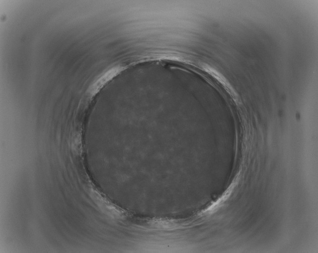 X0000062830977200601201608