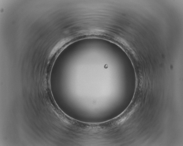 X0000062830978200601201608