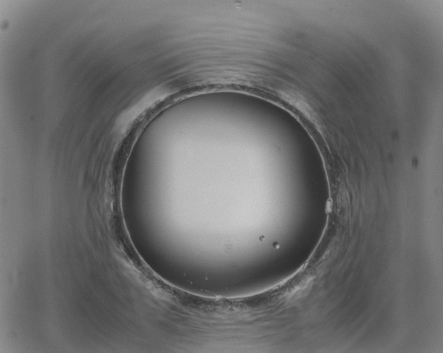 X0000062830979200601201608