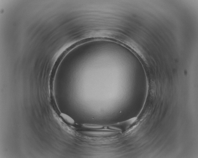 X0000062830980200601201608